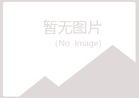 张掖夏青能源有限公司